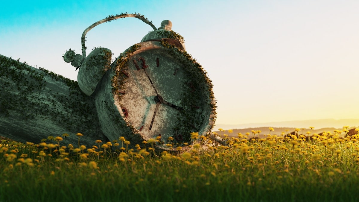 a tank in a field